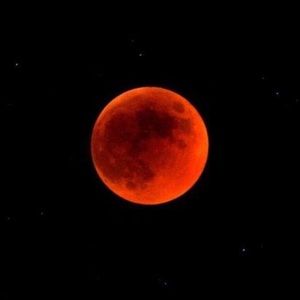 Meet your Posher, Brent